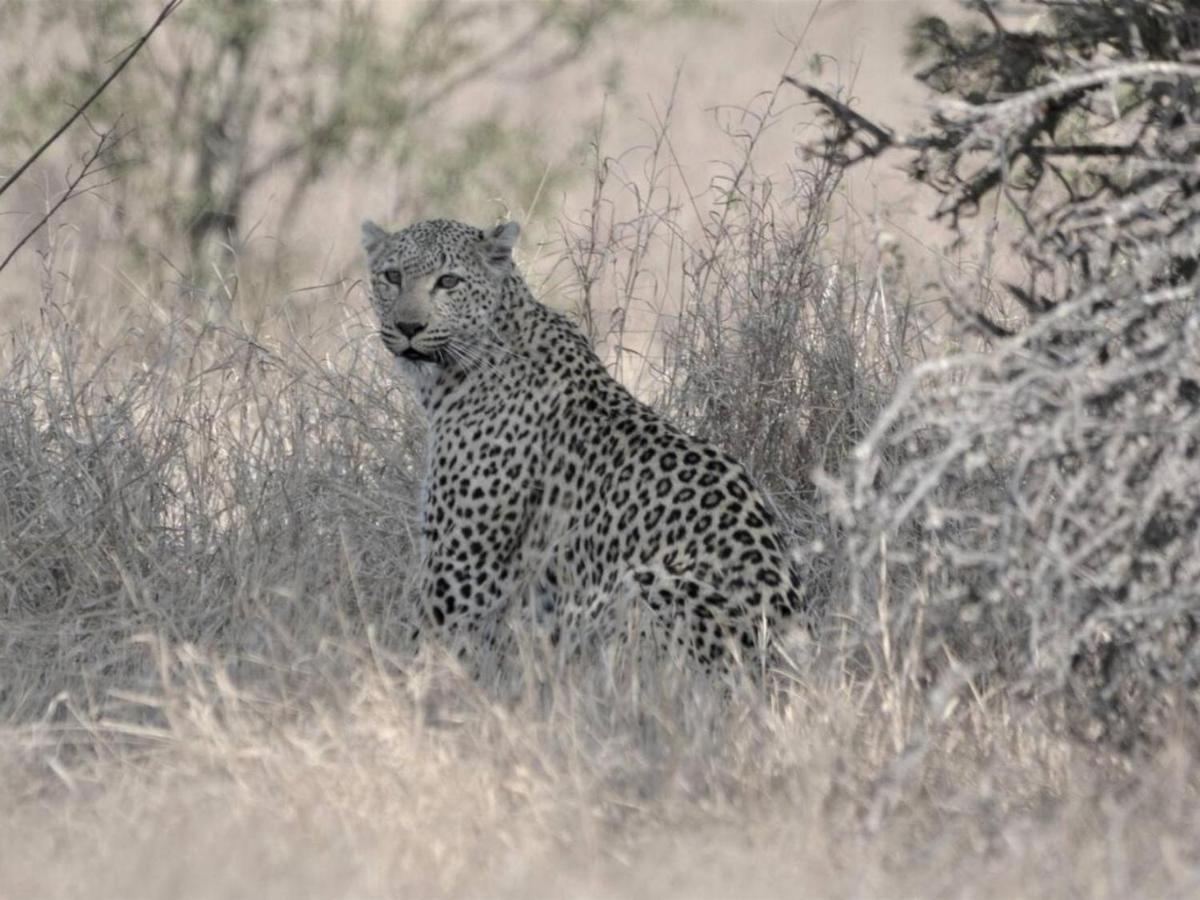 Апартаменты Chelesa By Kruger Nights Марлот-Парк Экстерьер фото