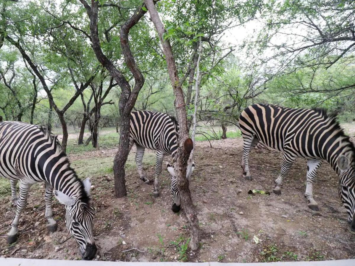 Апартаменты Chelesa By Kruger Nights Марлот-Парк Экстерьер фото